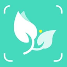 全民识花最新版