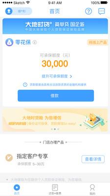 大地时贷app v2.7.4 安卓版 3