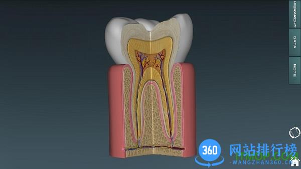 人体解剖学图集3d彩图(人体解剖学图谱) v3.15.2 安卓版 1