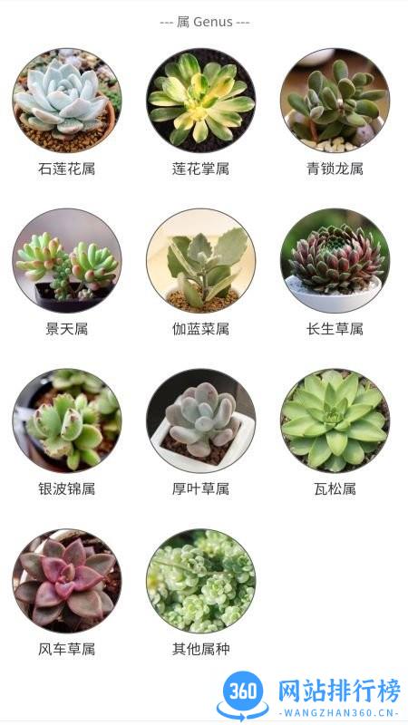 潮句多肉植物汇最新版 v1.2 安卓版 1