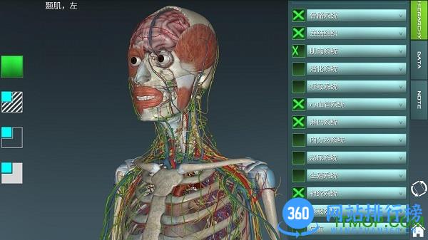 人体解剖学图集3d彩图(人体解剖学图谱) v3.15.2 安卓版 2