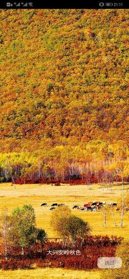 国家风景手机版 v3.1.10 安卓版 0