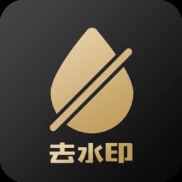 视频去水印软件