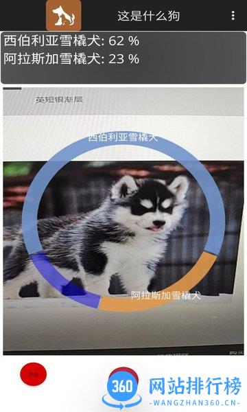 这是什么狗 v1.0.1 安卓版 1