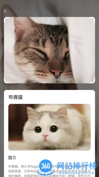 云养猫软件手机版 v1.0.7 安卓版 3