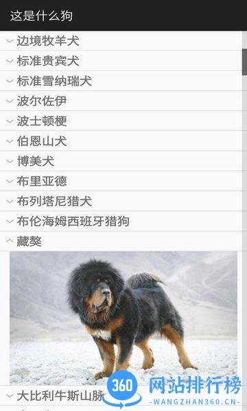这是什么狗 v1.0.1 安卓版 0