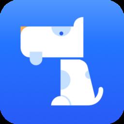 12123车主查违章app