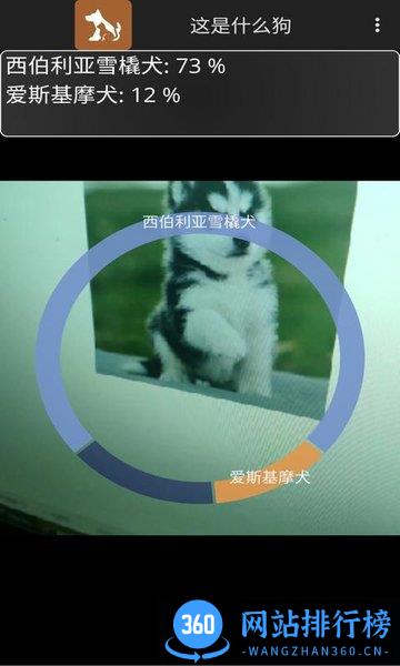 这是什么狗 v1.0.1 安卓版 3