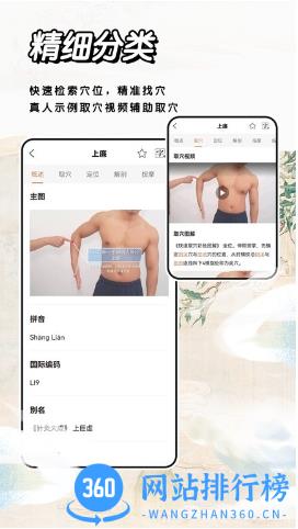 经络穴位标准指南app v1.3 安卓版 3