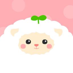 大姨妈跟踪器最新版