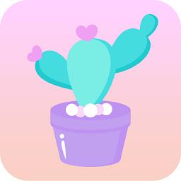 马生菜互动桌面app