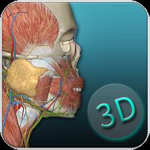 人体解剖学图集3d彩图