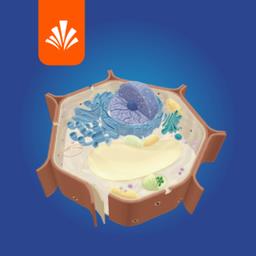 分子与细胞官方版