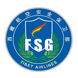 平安藏航e安保最新版