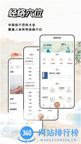 经络穴位标准指南app v1.3 安卓版 2