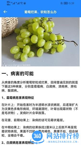 嗨老板开个店手机版 v1.6 安卓版 0