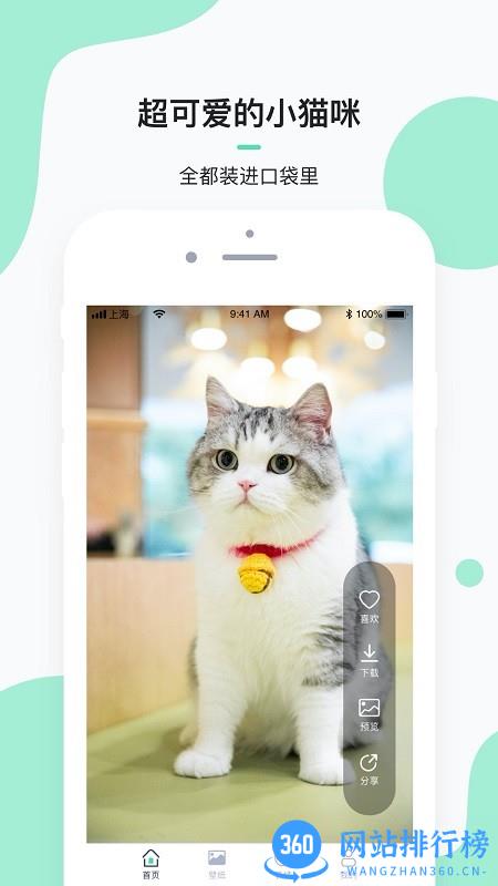 每日一猫壁纸 v1.0.0 安卓版 0