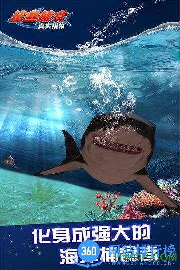 真实模拟鲨鱼捕食游戏