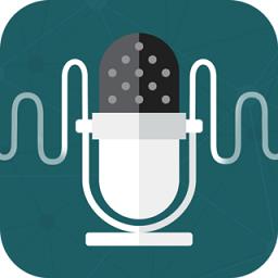 万能变声器王者手机版