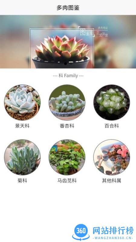 潮句多肉植物汇最新版 v1.2 安卓版 0