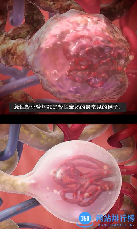 3D生理和病理学医学通 v2 安卓版 2