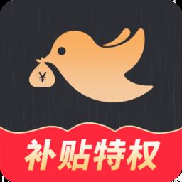 线报鸟app
