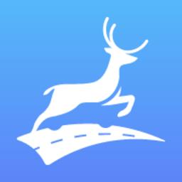 上鹿教练官方版