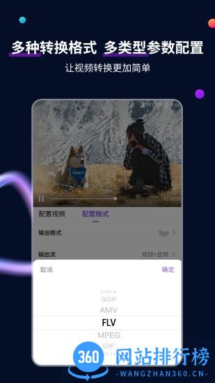 MP4格式转换大师