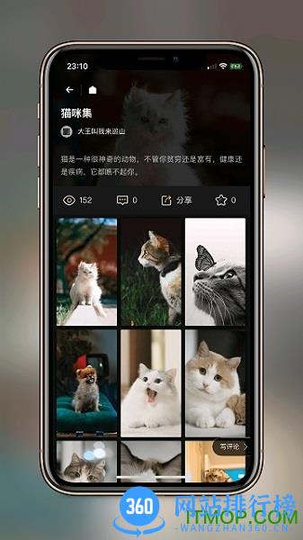 纸塘壁纸app v1.6.22 安卓版 2