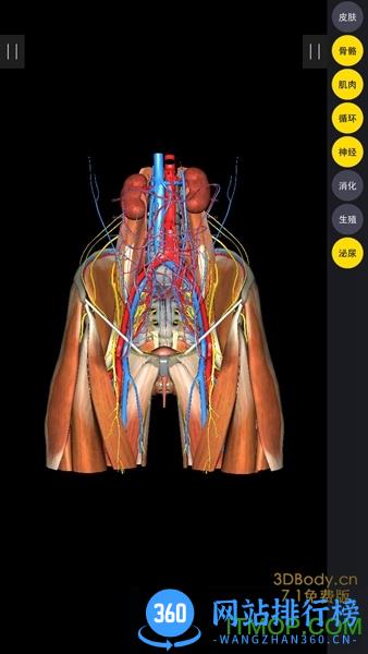 3dbody会员破解版2020 v8.2.5 安卓版 3