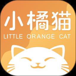 小橘猫婚礼课堂
