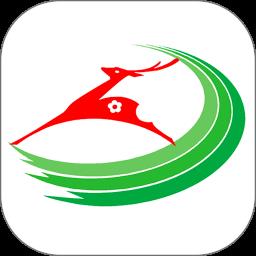 大美东丰最新版