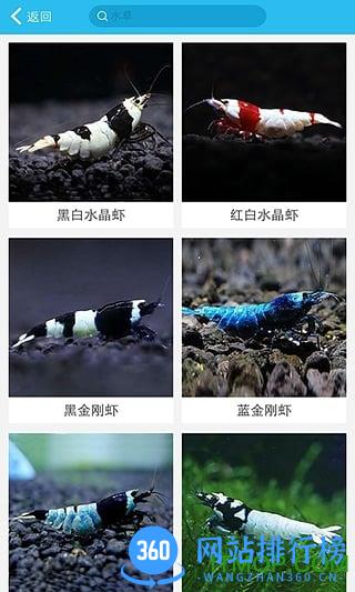 泡泡水族(水族社交圈) v2.1.3 安卓版 3