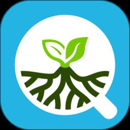 掌上凯盛app
