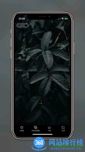 纸塘壁纸app v1.6.22 安卓版 0