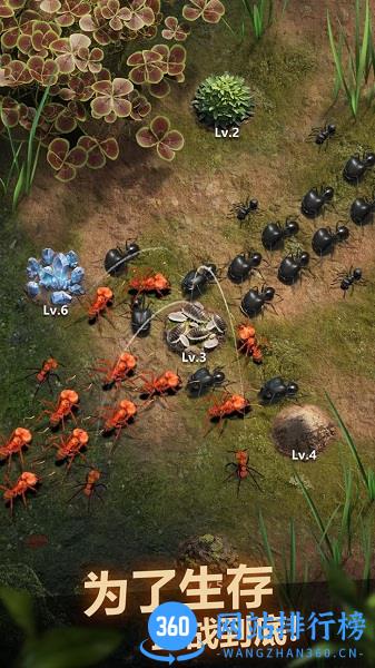 蚂蚁地下王国(The Ants)手游 v1.31.0 安卓版 2