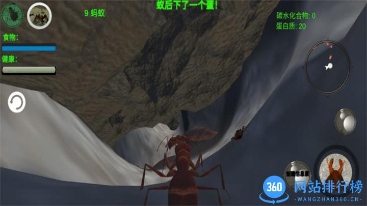 奇妙动物世界探险游戏官方版 v1.0 安卓版 1