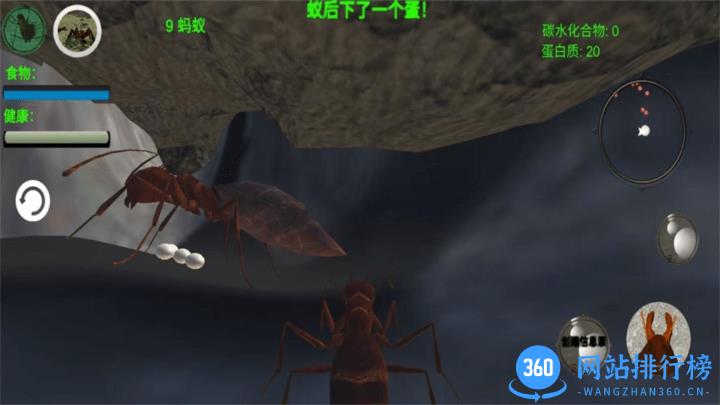 奇妙动物世界探险游戏官方版 v1.0 安卓版 0