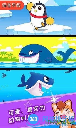 宝宝儿童海洋王国最新版 v4.77.41b安卓版 2
