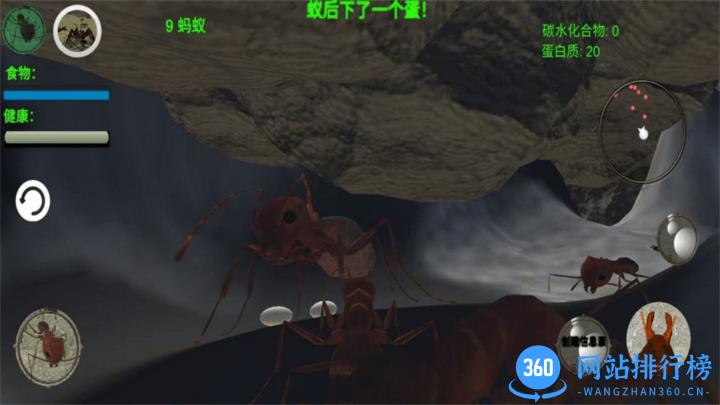 奇妙动物世界探险游戏官方版 v1.0 安卓版 2