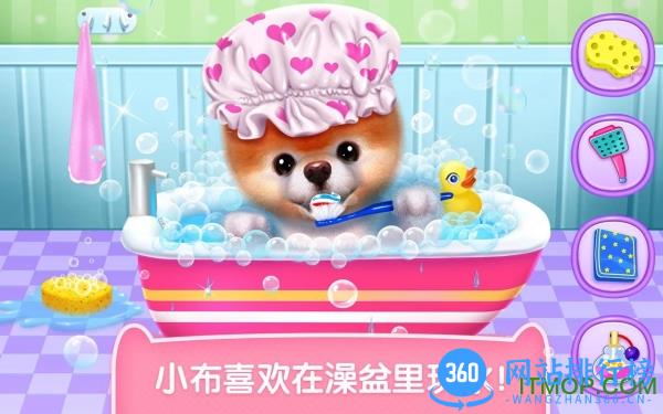 可可公主宠物小布 v1.8.4 安卓版 0