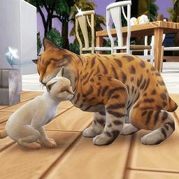 猫咪想恋爱最新版
