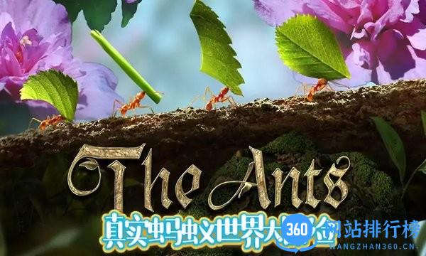 蚂蚁文托模拟器 v1.8.8 安卓版 1