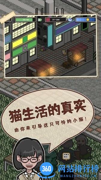 卡通猫游戏