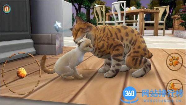 猫咪想恋爱游戏最新版 v300.1.0.3018 安卓版 0
