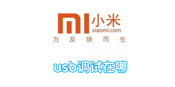 小米手机usb调试在哪