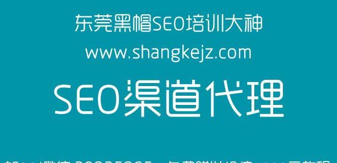 零基础新手学SEO必备技能（全面了解SEO及优化技巧）