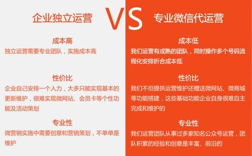 自建团队还是寻找外包