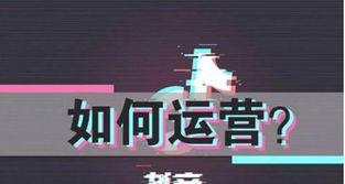 蒙阴seo提升网站排名