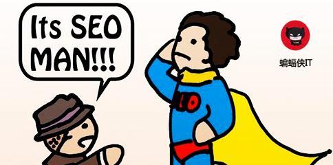 范县seo提升的技巧与方案